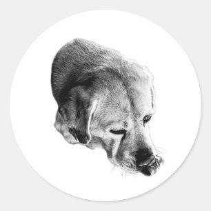 Snack Attack Smile Classic Round Sticker