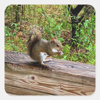 Snack Attack Square Sticker