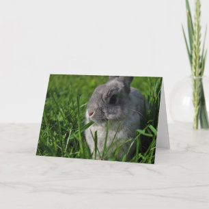 Snack Time Card