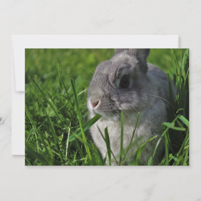 Snack Time Invitation (Front)