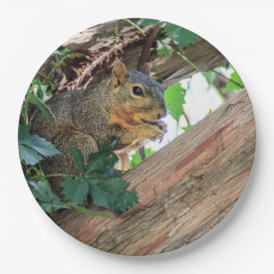 Snack Time Paper Plate