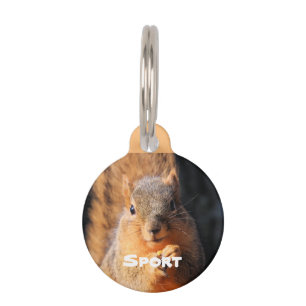 Snack time pet tag
