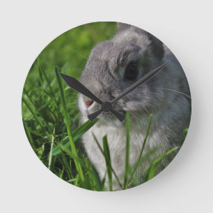 Snack Time Round Clock