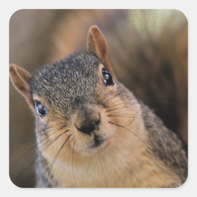 Snacks? I LOVE snacks! Square Sticker (Front)