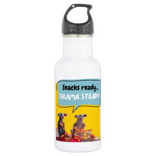 Snacks Ready, Drama Steady 532 Ml Water Bottle