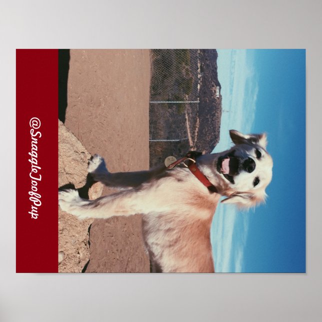 @SnaggleToofPup Poster (Front)