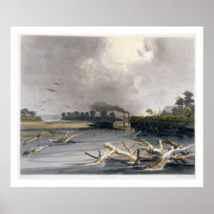 Snags (sunken trees) on the Missouri, plate 6 from Poster