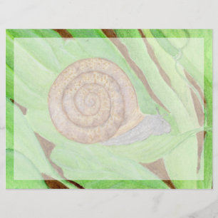 Snail