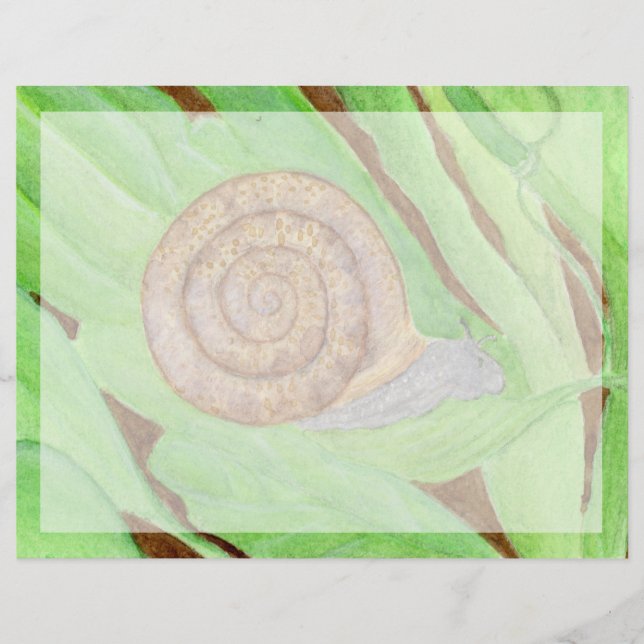Snail (Front)