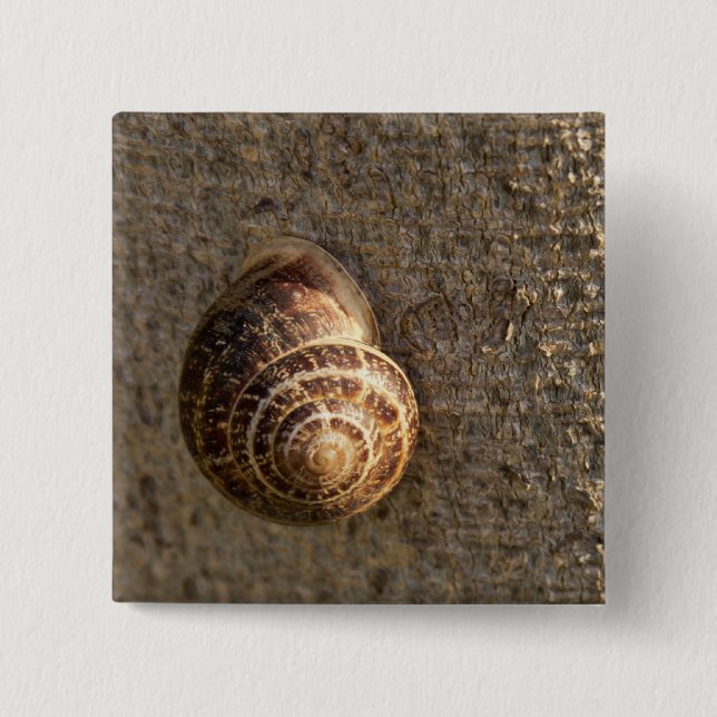 Snail 15 Cm Square Badge (Front)