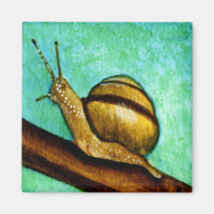 Snail 1 Magnet
