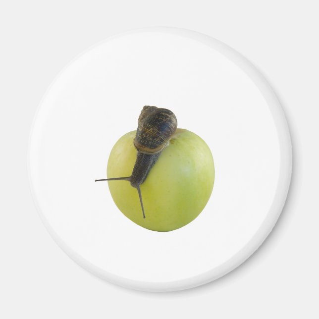 Snail and apple magnet (Front)
