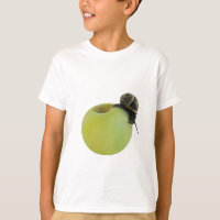 Snail and apple