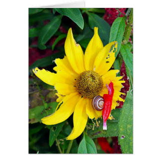 Snail and Blossom