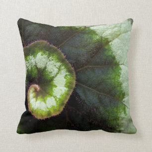 Snail Begonia Leaf Cushion