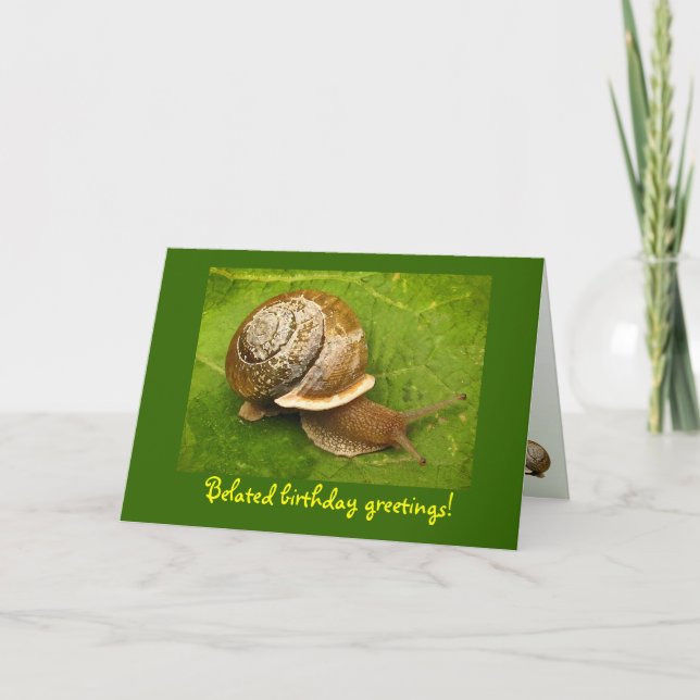 Snail Belated Birthday Card (Front)