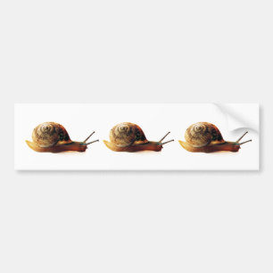 Snail Bumper Sticker