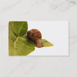Snail Business Card
