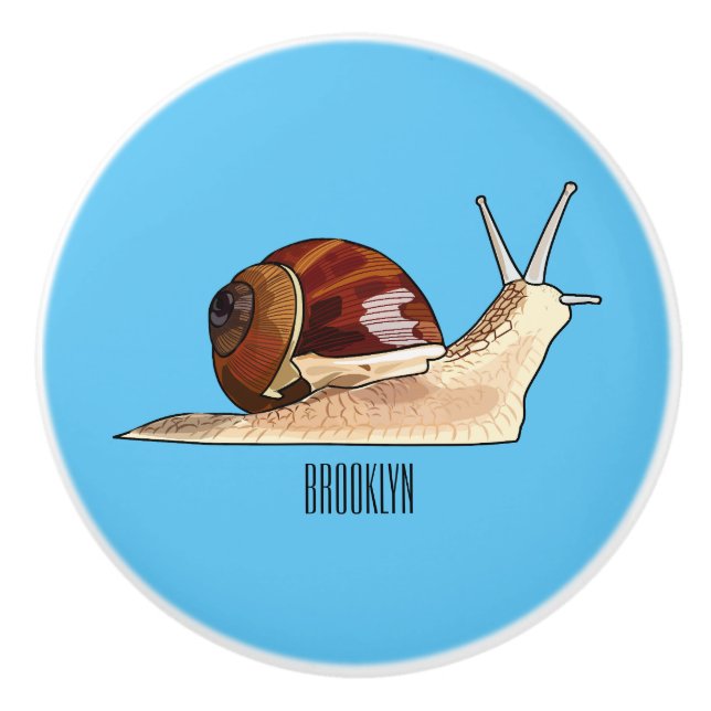 Snail cartoon illustration ceramic knob (Front)