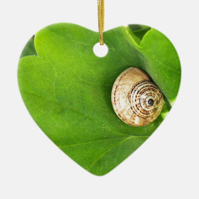 snail ceramic tree decoration (Front)
