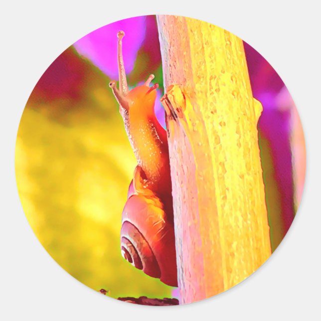 Snail Classic Round Sticker (Front)