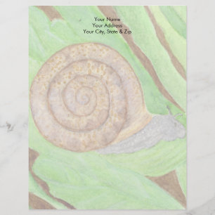 Snail Custom Letterhead