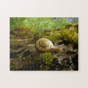 snail day! jigsaw puzzle