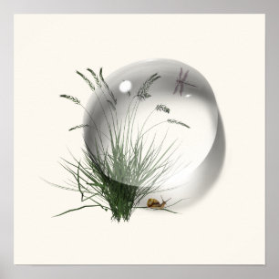 Snail Dragonfly Waterdrop Abstract Poster