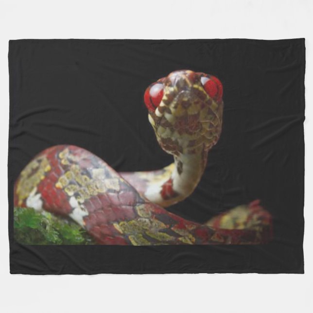 SNAIL EATING SNAKE FLEECE BLANKET (Front (Horizontal))