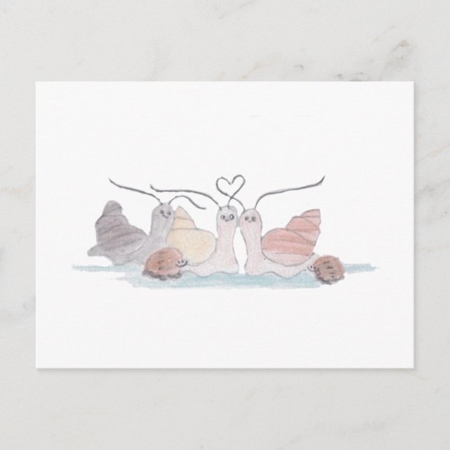 Snail Family Postcard (Front)