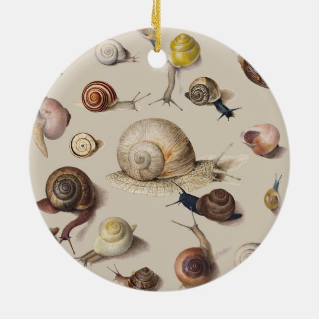 Snail Garden Pet Gastropod Slug Botanical Snails Ceramic Ornament (Back)