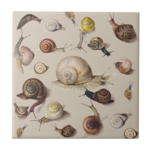 Snail Garden Pet Gastropod Slug Botanical Snails Ceramic Tile