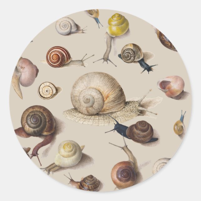 Snail Garden Pet Gastropod Slug Botanical Snails Classic Round Sticker (Front)