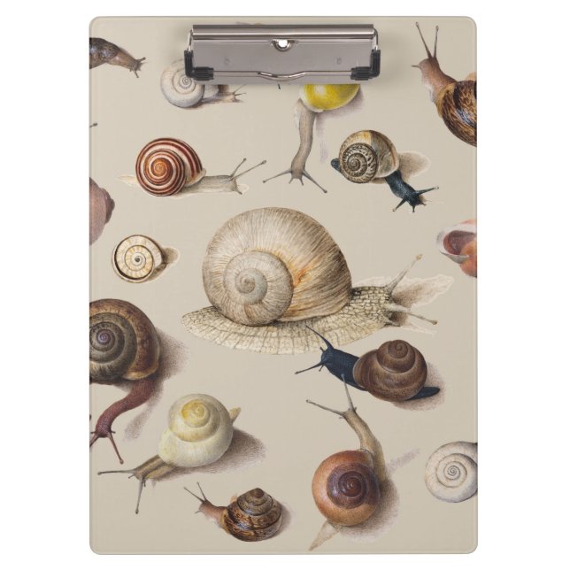 Snail Garden Pet Gastropod Slug Botanical Snails Clipboard (Front)