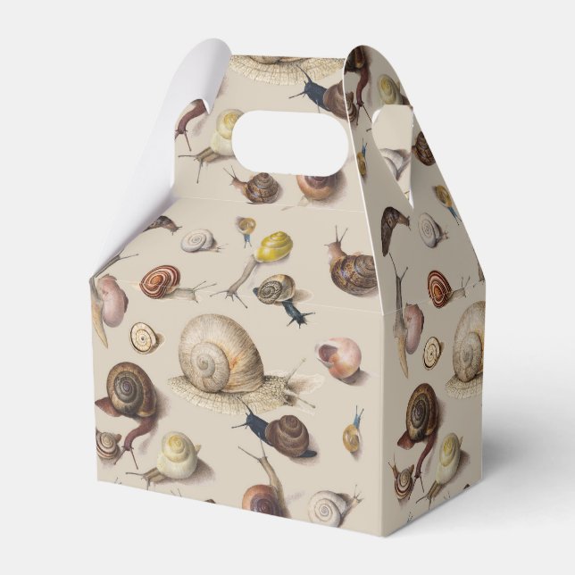 Snail Garden Pet Gastropod Slug Botanical Snails Favour Box (Front Side)