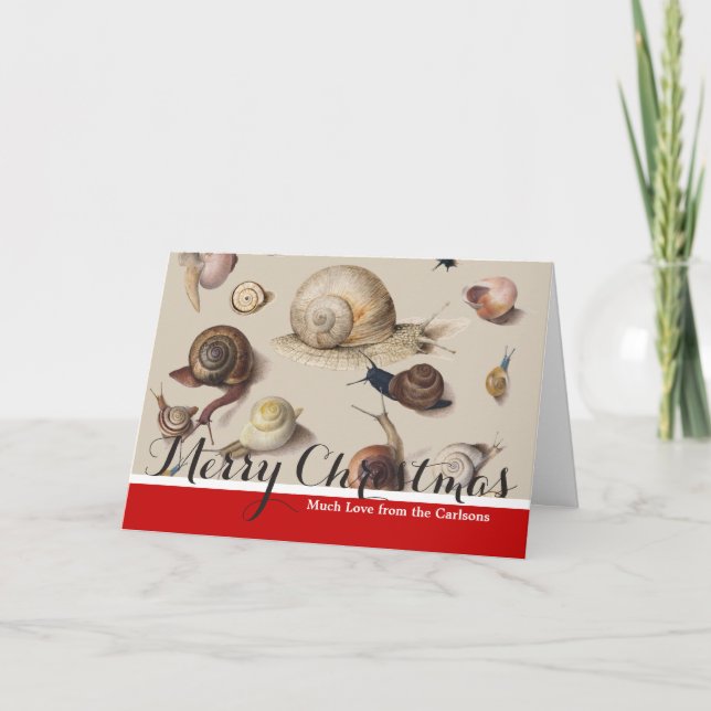 Snail Garden Pet Gastropod Slug Botanical Snails Holiday Card (Front)