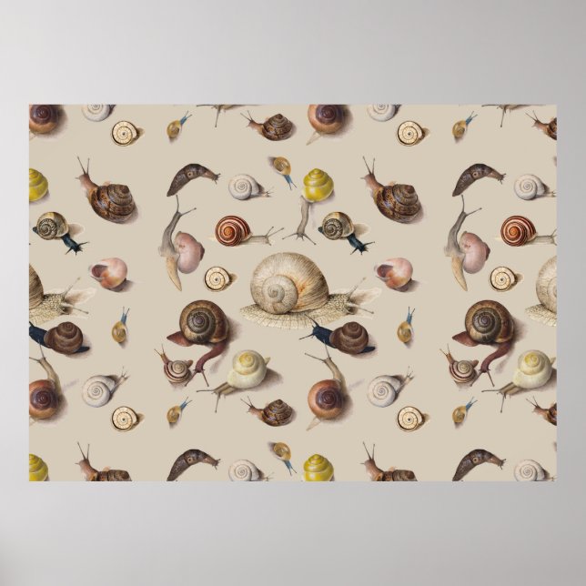 Snail Garden Pet Gastropod Slug Botanical Snails Poster (Front)