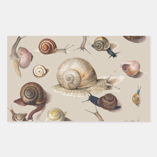 Snail Garden Pet Gastropod Slug Botanical Snails Rectangular Sticker (Front)