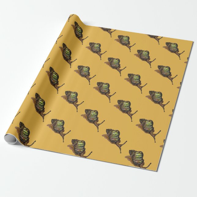 snail gift wrap (Unrolled)