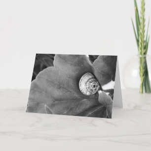 Snail Holiday Card