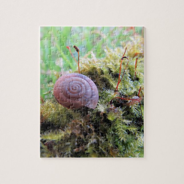 Snail in the moss jigsaw puzzle (Vertical)