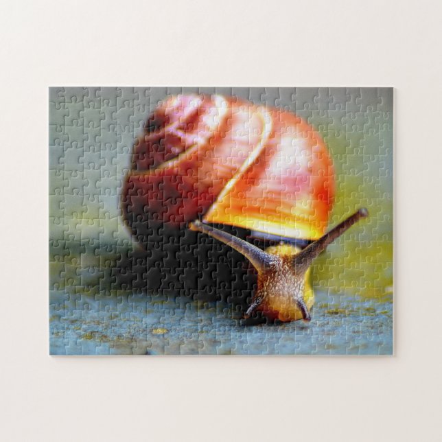 Snail Jigsaw Puzzle (Horizontal)