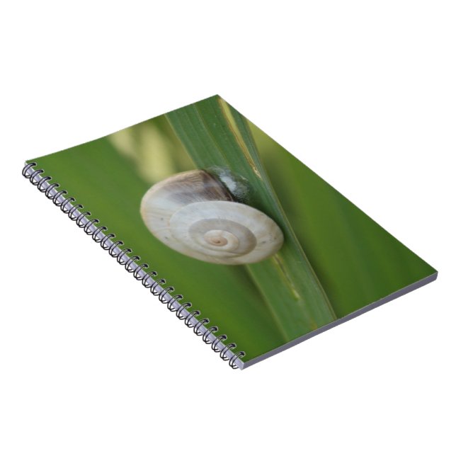 Snail Journal Notebook (Right Side)