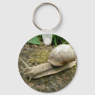 Snail Key Ring