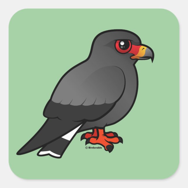 Snail Kite Square Sticker (Front)