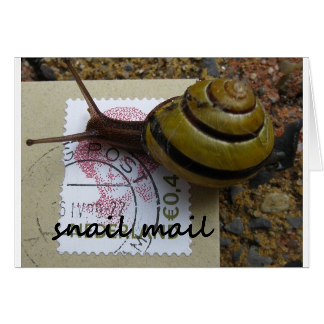 Snail mail (Front Horizontal)