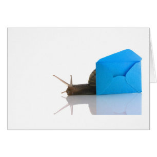 Snail Mail