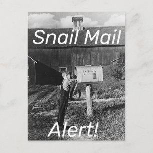 Snail Mail Alert Postcard