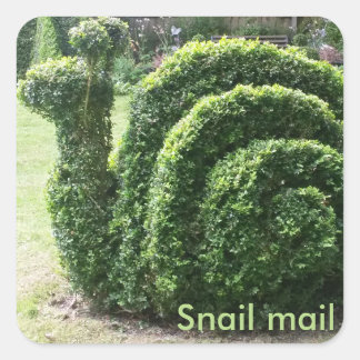 Snail mail. Fun topiary garden clipped green bush Square Sticker