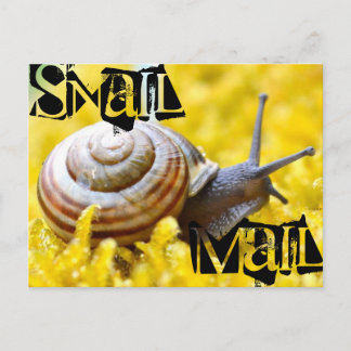 Snail Mail Postcard